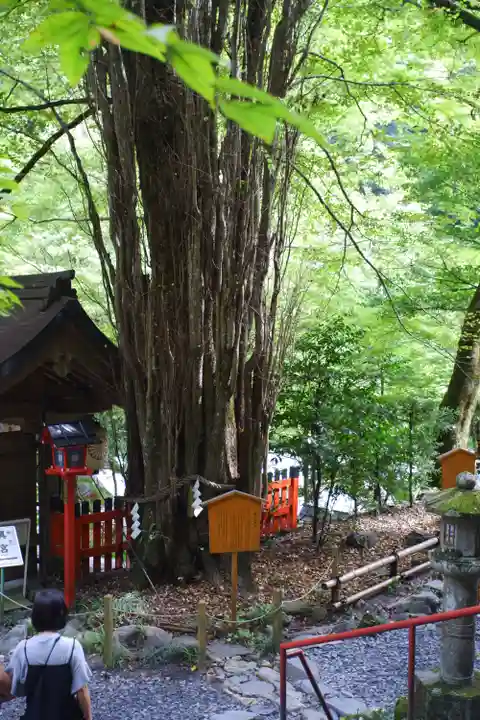 貴船神社(京都府)