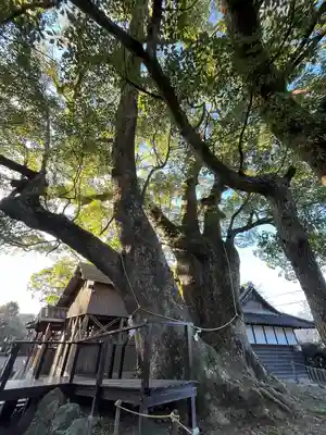 藤白神社(和歌山県)