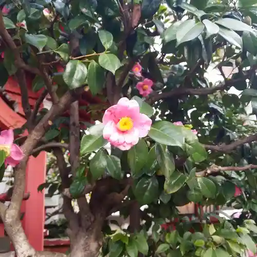 亀塚稲荷神社の自然