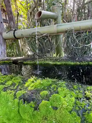 三秀院(京都府)