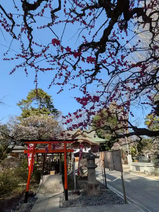 布多天神社(東京都)