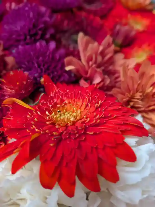 心行寺(東京都)