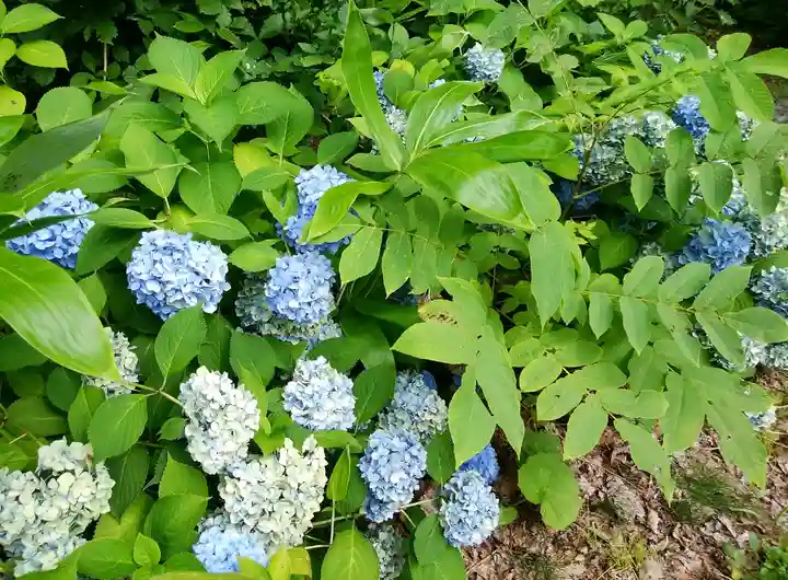 士別神社(北海道)
