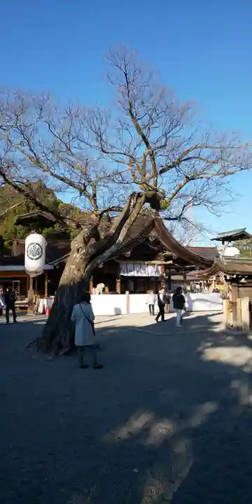 尾張大國霊神社(国府宮)の自然