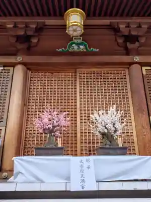 湯島天満宮(東京都)