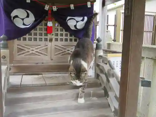 白山神社(東京都)