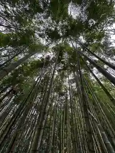 御嶽神社茅萱宮の自然(2023年12月18日(月) 18時33分42秒投稿)