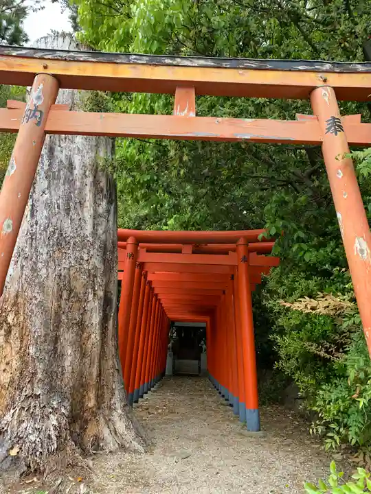 森・深江・青木 総氏神 稲荷神社の鳥居