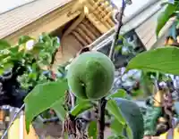 刈田神社(北海道)