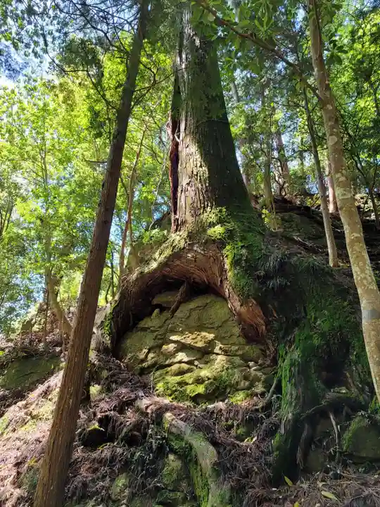 室生寺奥の院のその他建物