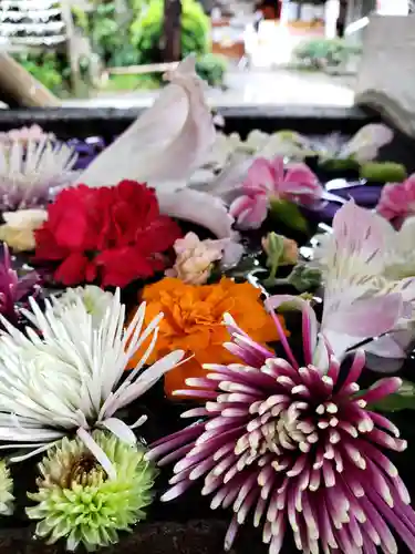 鳩森八幡神社の手水舎