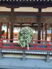 武蔵一宮氷川神社(埼玉県)