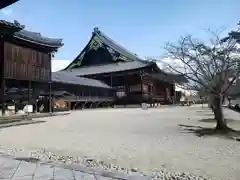 高田本山専修寺の建物その他