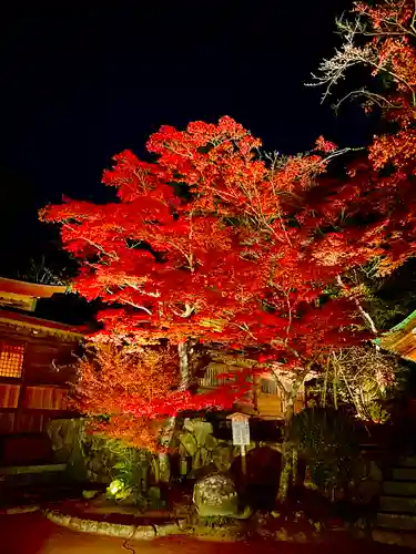 宝満宮竈門神社の自然