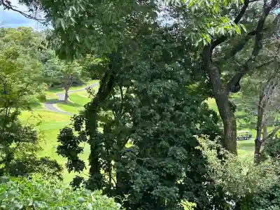 白美龍神社(愛知県)