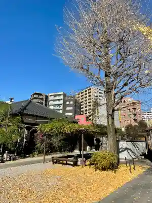法泉寺(東京都)