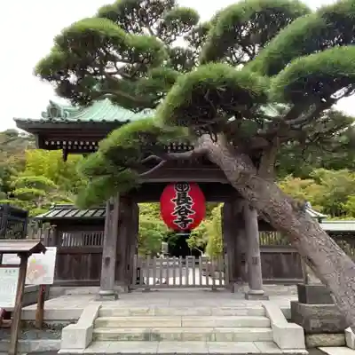 長谷寺の山門・神門