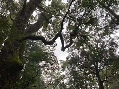伊勢神宮内宮（皇大神宮）(三重県)