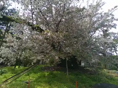 称願寺(山梨県)