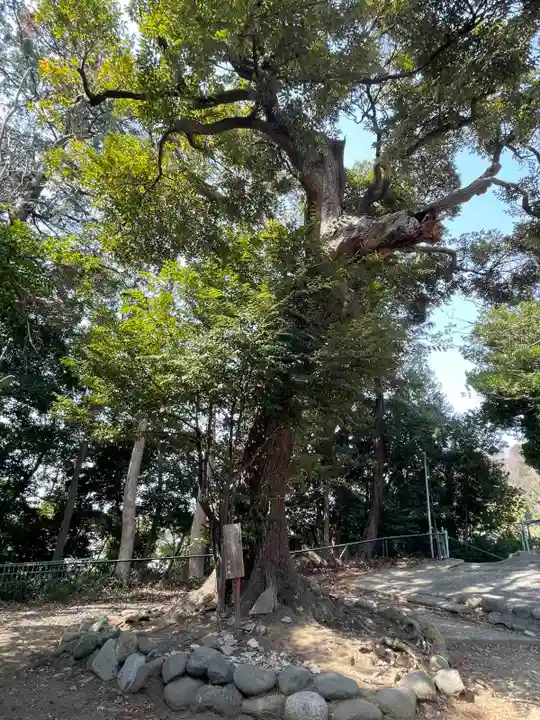 別所白山神社(神奈川県)