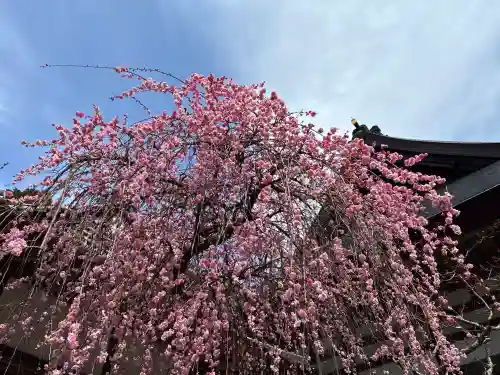 金輪寺の{uncategorized: "未分類", other: "その他", undefined: "問題あり", building: "その他建物", grave: "お墓", sacred_gate: "鳥居", guardian: "狛犬", statue: "像", buddha: "仏像", history: "歴史", nature: "自然", garden: "庭園", animal: "動物", pagoda: "塔", temizu: "手水舎", mountain_gate: "山門・神門", sanctuary: "本殿・本堂", subordinate: "末社・摂社", art: "芸術", scenery: "景色", jizo: "地蔵", ema: "絵馬", goshuin: "御朱印", omikuji: "おみくじ", items: "授与品その他", amulet: "お守り", goshuincho: "御朱印帳", eats: "食事", festival: "お祭り", votive_dance: "神楽", shichigosan: "七五三参", wedding: "結婚式", experience: "体験その他", initially: "初詣", around: "周辺", anti_infection: "感染症対策"}