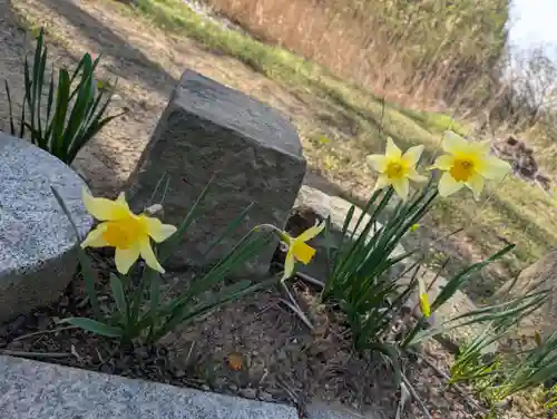 宇賀神さま(福島県)