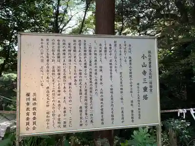 宝樹院小山寺(茨城県)