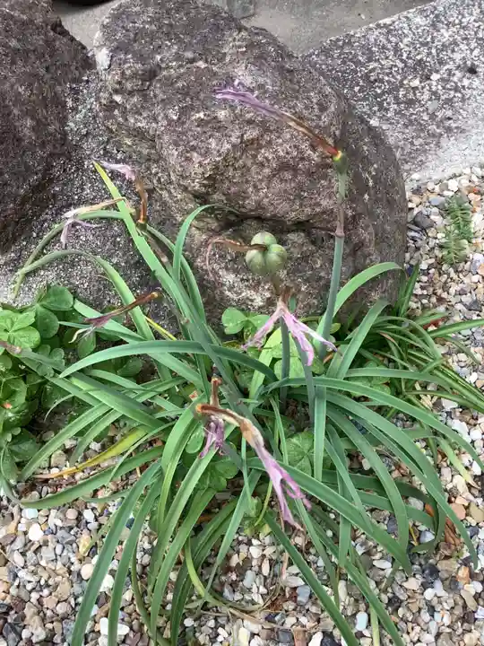 三輪神社の自然