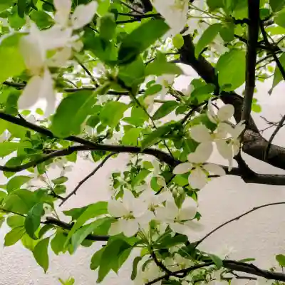 秋葉神社の{uncategorized: "未分類", other: "その他", undefined: "問題あり", building: "その他建物", grave: "お墓", sacred_gate: "鳥居", guardian: "狛犬", statue: "像", buddha: "仏像", history: "歴史", nature: "自然", garden: "庭園", animal: "動物", pagoda: "塔", temizu: "手水舎", mountain_gate: "山門・神門", sanctuary: "本殿・本堂", subordinate: "末社・摂社", art: "芸術", scenery: "景色", jizo: "地蔵", ema: "絵馬", goshuin: "御朱印", omikuji: "おみくじ", items: "授与品その他", amulet: "お守り", goshuincho: "御朱印帳", eats: "食事", festival: "お祭り", votive_dance: "神楽", shichigosan: "七五三参", wedding: "結婚式", experience: "体験その他", initially: "初詣", around: "周辺", anti_infection: "感染症対策"}