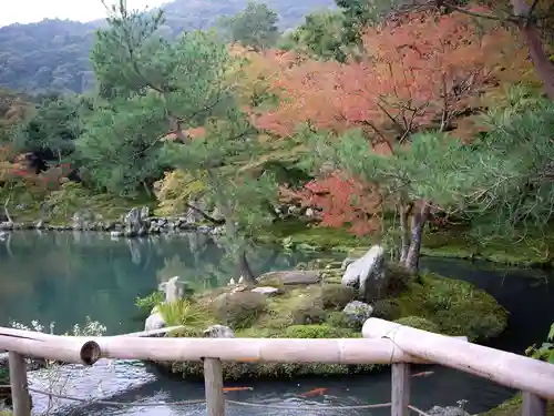 天龍寺の庭園