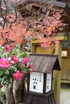 大山阿夫利神社(神奈川県)