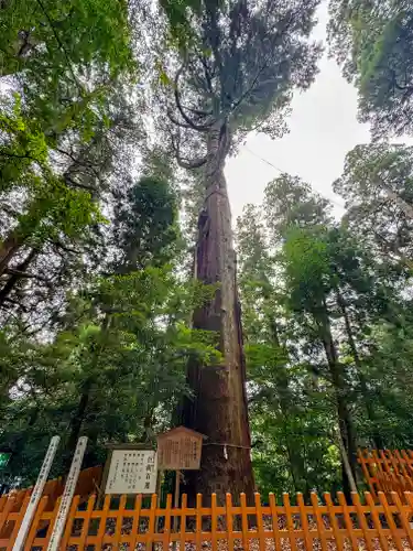 高千穂神社(宮崎県)