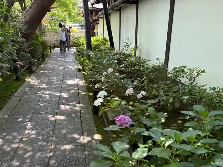 退蔵院(京都府)