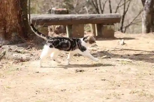 玉野御嶽神社(愛知県)