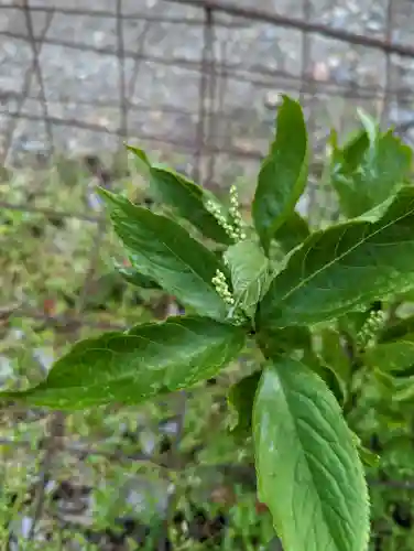 松尾大社(京都府)