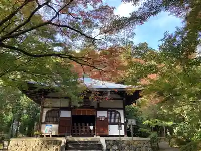 地蔵院(京都府)