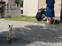 宣隆寺(三重県)