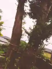 御霊神社の庭園