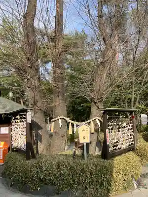 櫻木神社(千葉県)
