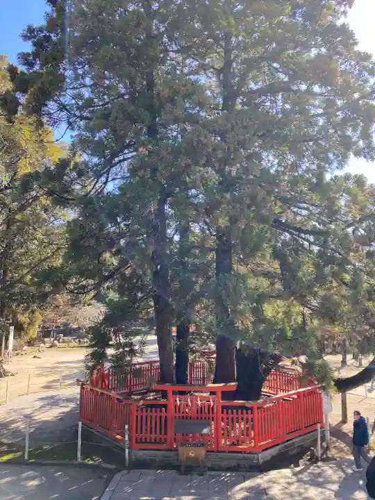 香椎宮(福岡県)