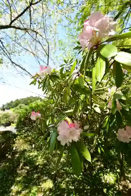 岡寺(龍蓋寺)(奈良県)