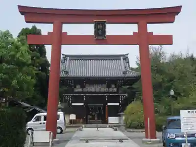 梅宮大社の鳥居