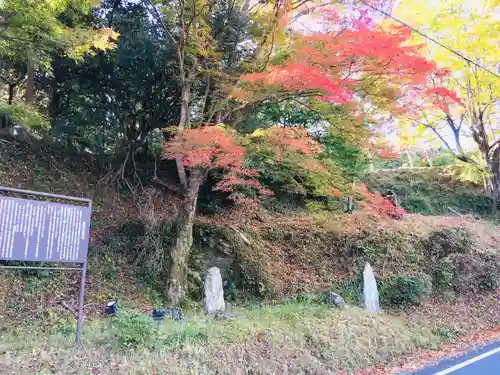金峯山寺の自然
