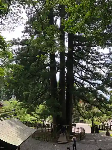 戸隠神社中社(長野県)
