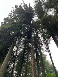 大宮温泉神社(栃木県)(2023年05月30日(火) 07時27分46秒投稿)