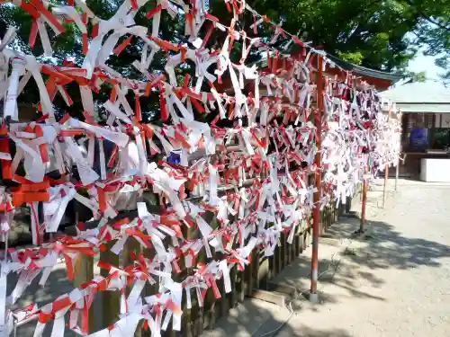 江島神社のおみくじ