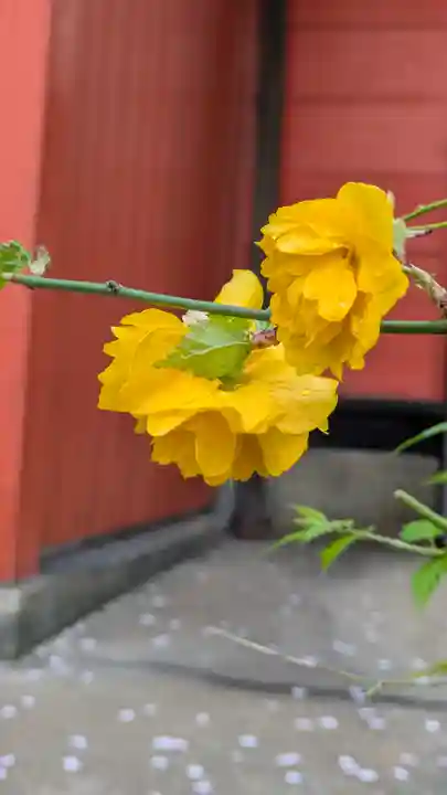 六孫王神社(京都府)