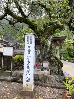 大渕寺(埼玉県)
