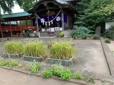 水海道鎮守 八幡神社のその他建物