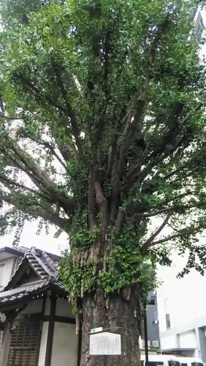 稼穡稲荷社の自然